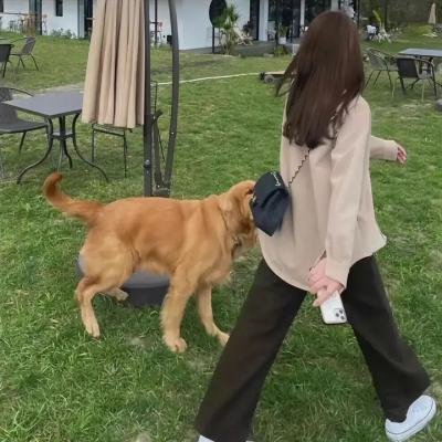 蛇之女