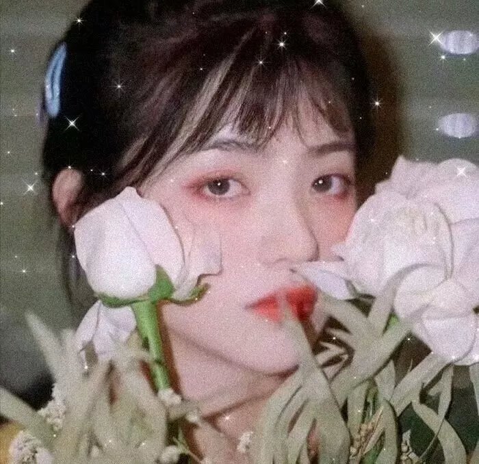 秘河密友